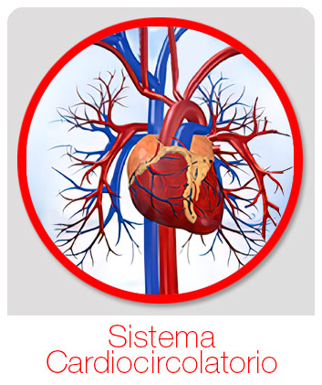 integratori-apparato-cardiocircolatorio