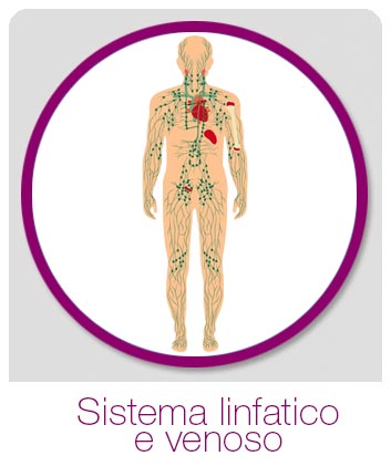 integratore-sistema-linfatico-venoso